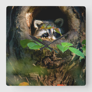 Forests   Racoon Peeking Square Wall Clock