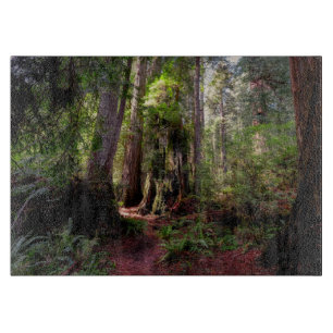 Forests Redwood Forest California Cutting Board