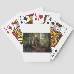 Forests Redwood Forest California Playing Cards