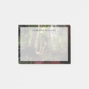 Forests   Redwood Forest California Post-it Notes