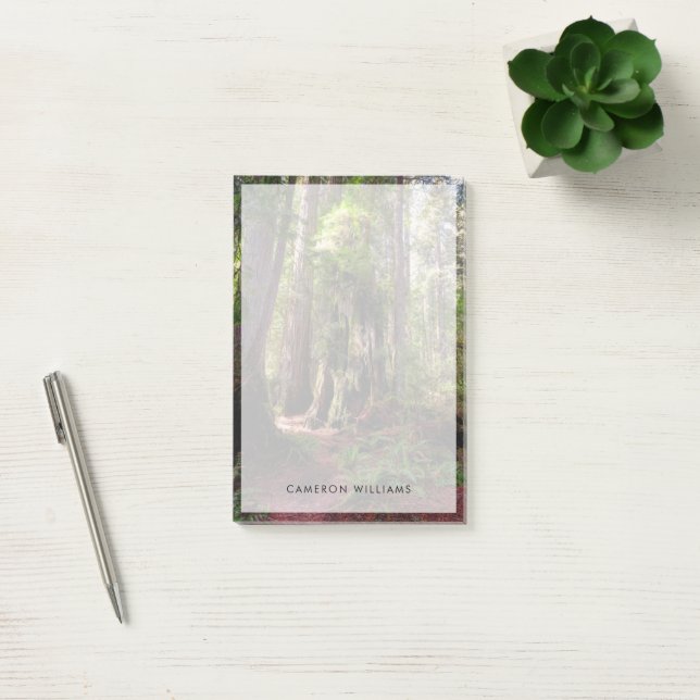 Forests | Redwood Forest California Post-it Notes (Office)