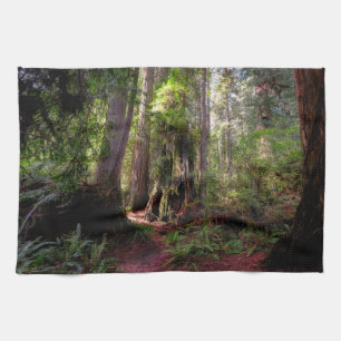 Forests   Redwood Forest California Tea Towel
