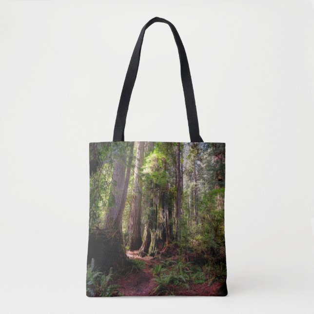 Forests | Redwood Forest California Tote Bag (Front)