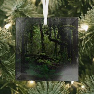 Forests Routeburn Track Fiordland National Park Glass Tree Decoration