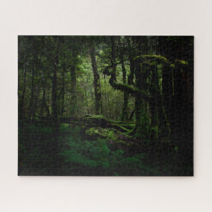 Forests Routeburn Track Fiordland National Park Jigsaw Puzzle