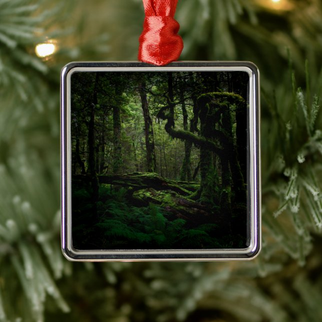 Forests | Routeburn Track Fiordland National Park Metal Ornament (Tree)