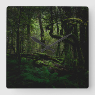 Forests Routeburn Track Fiordland National Park Square Wall Clock