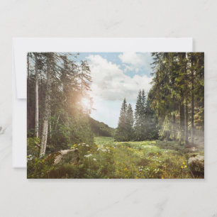 Forests   Sun Peeking Thru Thank You Card