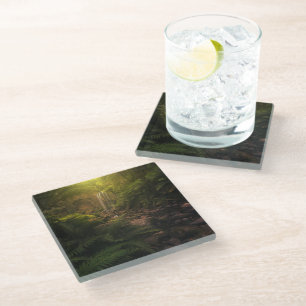 Forests Sunlight Highlights Waterfall Glass Coaster