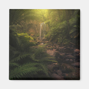 Forests Sunlight Highlights Waterfall Magnet