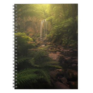 Forests   Sunlight Highlights Waterfall Notebook