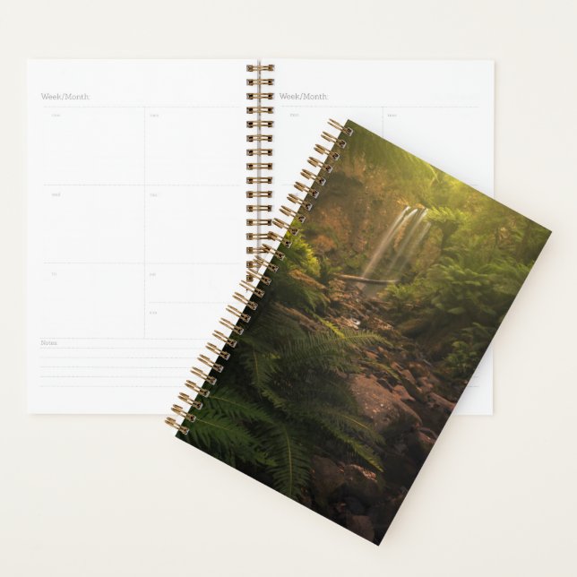 Forests | Sunlight Highlights Waterfall Planner (Display)