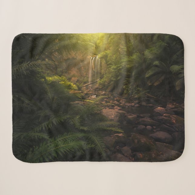 Forests | Sunlight Highlights Waterfall Sherpa Blanket (Front (Horizontal))
