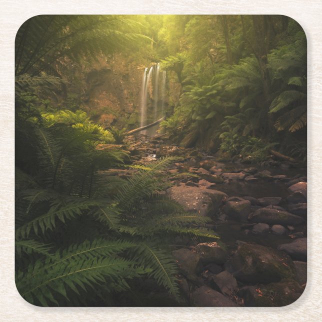 Forests | Sunlight Highlights Waterfall Square Paper Coaster (Front)