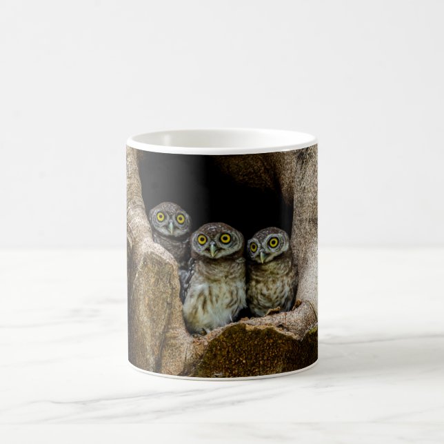 Forests | Three Owls Looking Coffee Mug (Center)