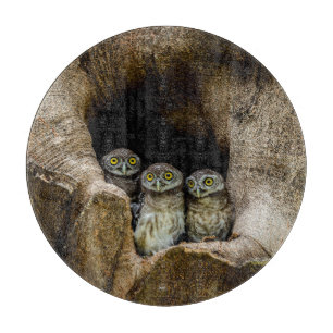 Forests Three Owls Looking Cutting Board