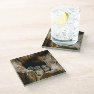 Forests Three Owls Looking Glass Coaster
