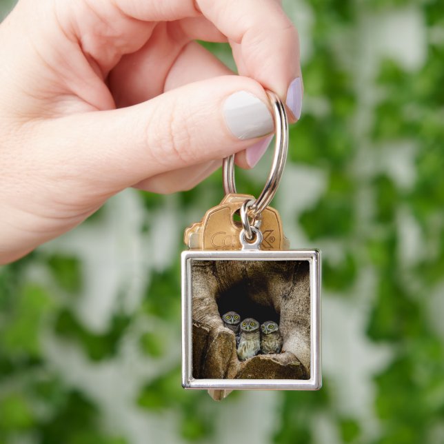 Forests | Three Owls Looking Key Ring (Hand)