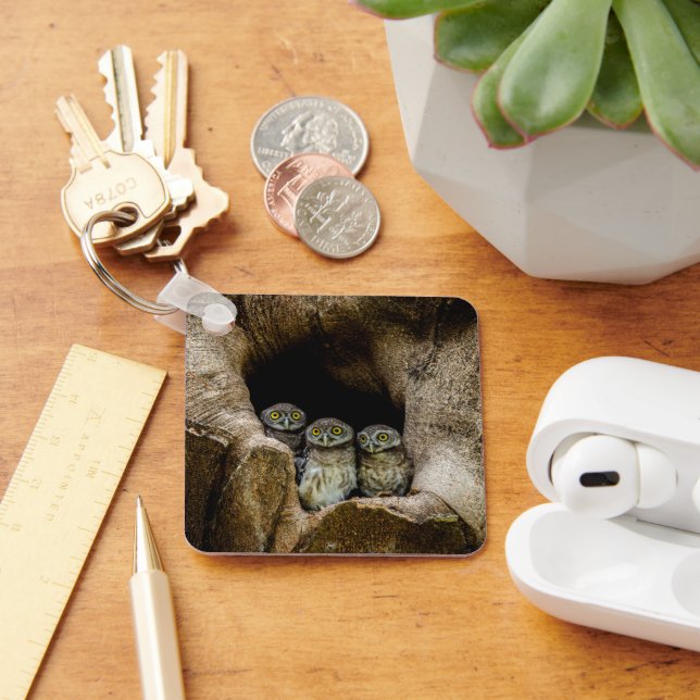 Forests | Three Owls Looking Key Ring (Desk)