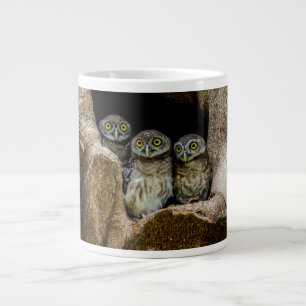 Forests   Three Owls Looking Large Coffee Mug