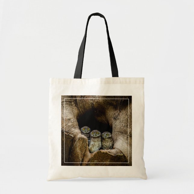 Forests | Three Owls Looking Tote Bag (Front)