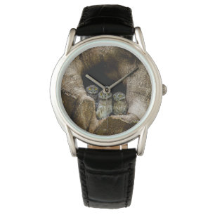 Forests Three Owls Looking Watch