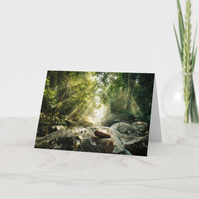 Forests | Tropical Jungle Forest Card (Front)