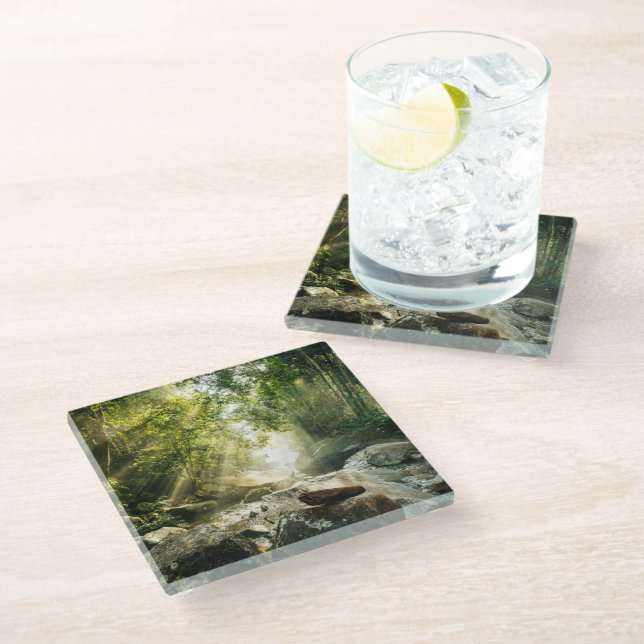 Forests | Tropical Jungle Forest Glass Coaster (Angled)
