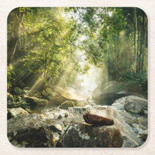 Forests Tropical Jungle Forest Square Paper Coaster