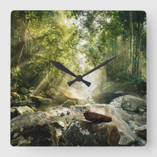Forests | Tropical Jungle Forest Square Wall Clock (Front)