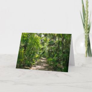Forests Tropical Rainforest Tulum Mexico Card