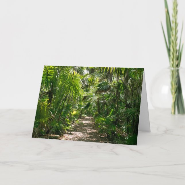 Forests | Tropical Rainforest Tulum Mexico Card (Front)