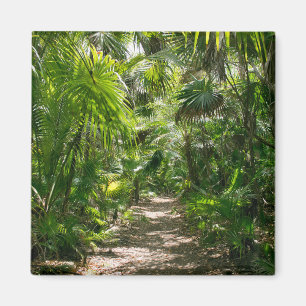 Forests   Tropical Rainforest Tulum Mexico Magnet