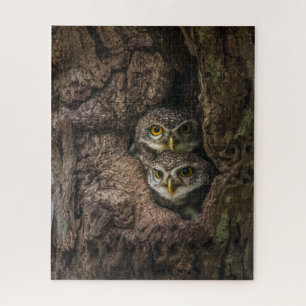 Forests   Two Owls Looking Jigsaw Puzzle