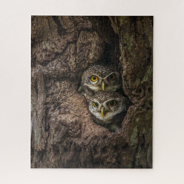 Forests | Two Owls Looking Jigsaw Puzzle (Vertical)