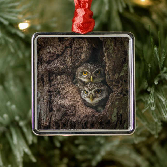 Forests | Two Owls Looking Metal Ornament (Tree)
