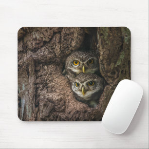 Forests   Two Owls Looking Mouse Pad
