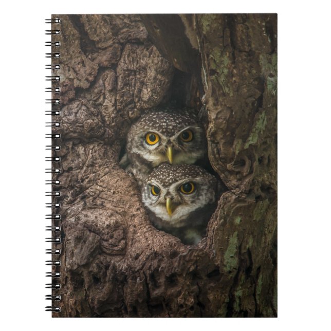 Forests | Two Owls Looking Notebook (Front)