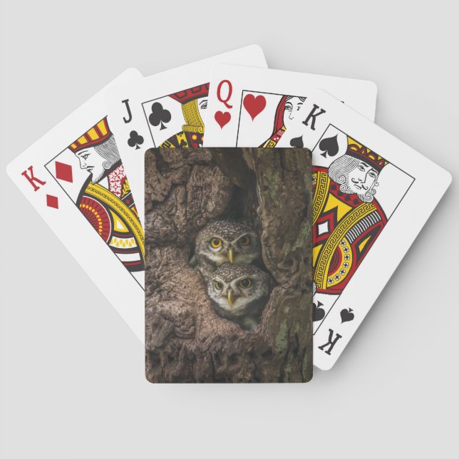 Forests | Two Owls Looking Playing Cards (Back)