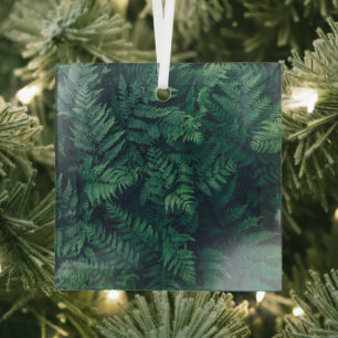 Forests   Woodland Ferns Glass Tree Decoration