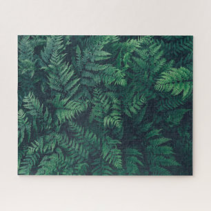 Forests   Woodland Ferns Jigsaw Puzzle