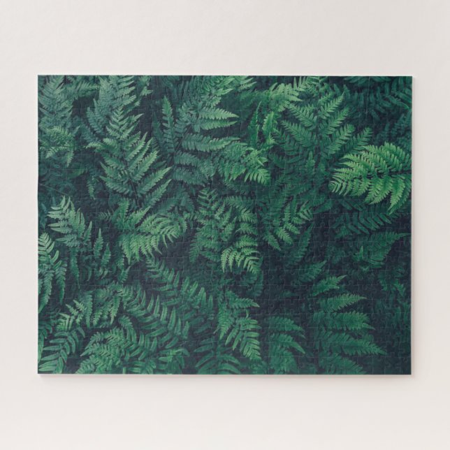 Forests | Woodland Ferns Jigsaw Puzzle (Horizontal)