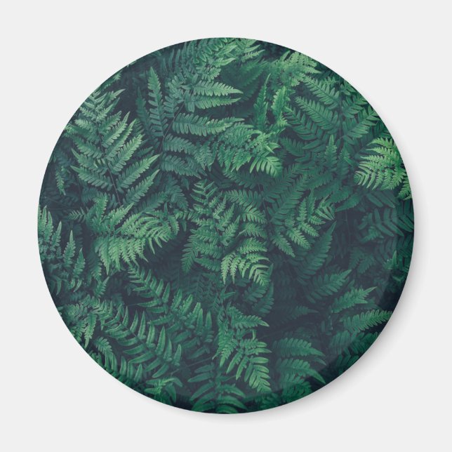 Forests | Woodland Ferns Magnet (Front)