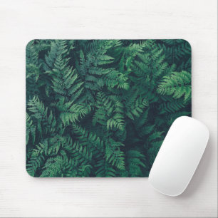 Forests Woodland Ferns Mouse Pad