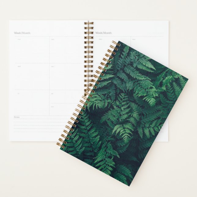 Forests | Woodland Ferns Planner (Display)
