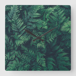 Forests Woodland Ferns Square Wall Clock