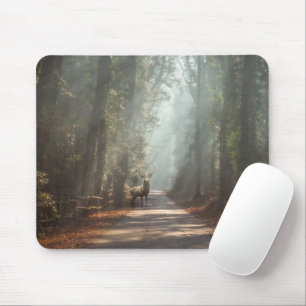 Forests   Woodland Stag Mouse Pad