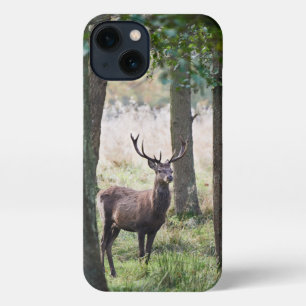 Forests Woodlands & Red Deer iPhone 13 Case