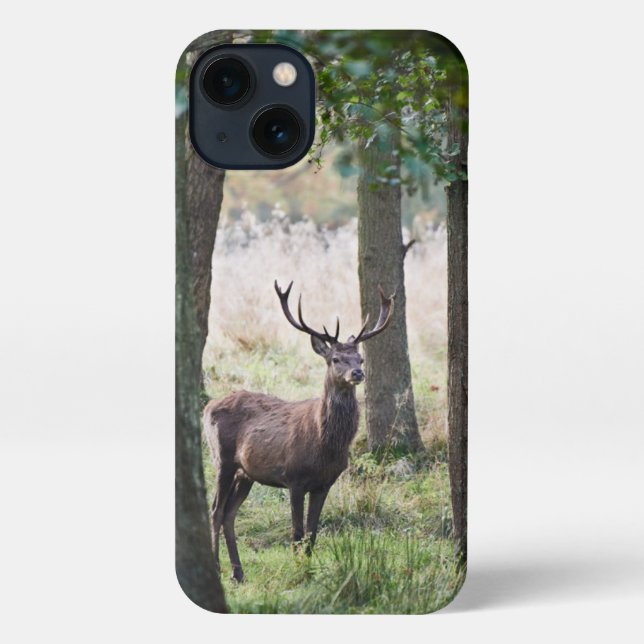 Forests | Woodlands & Red Deer iPhone Case (Back)