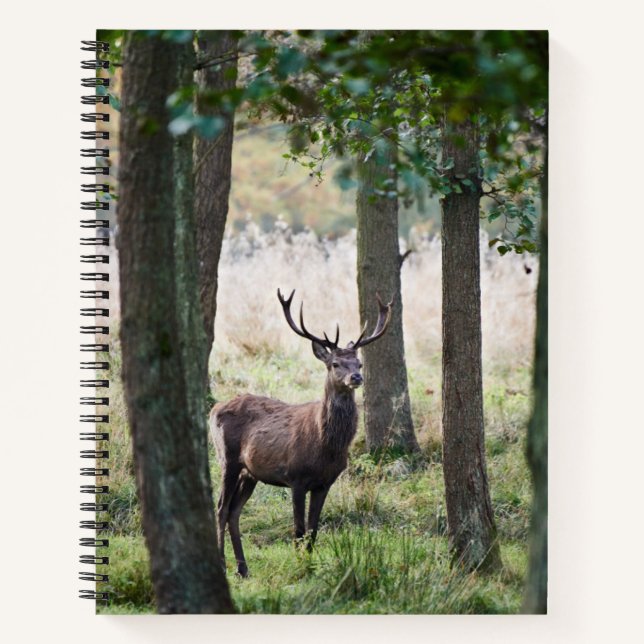 Forests | Woodlands & Red Deer Notebook (Front)